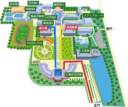 access-map